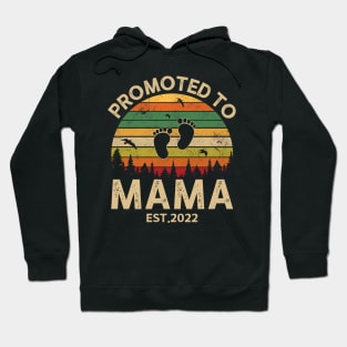 Promoted To Mama Est 2022 Pregnancy Announcement Vintage Hoodie